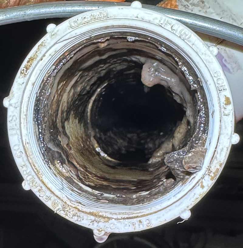 drain after cleaning